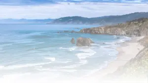 california sober