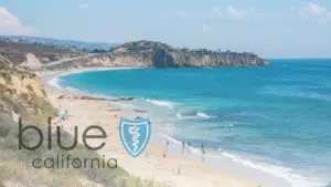 Detox Centers that Accept Blue Shield of California